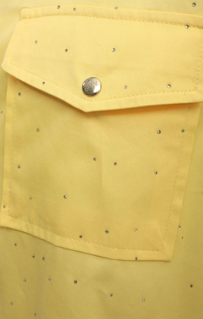 Geel blouse dishe